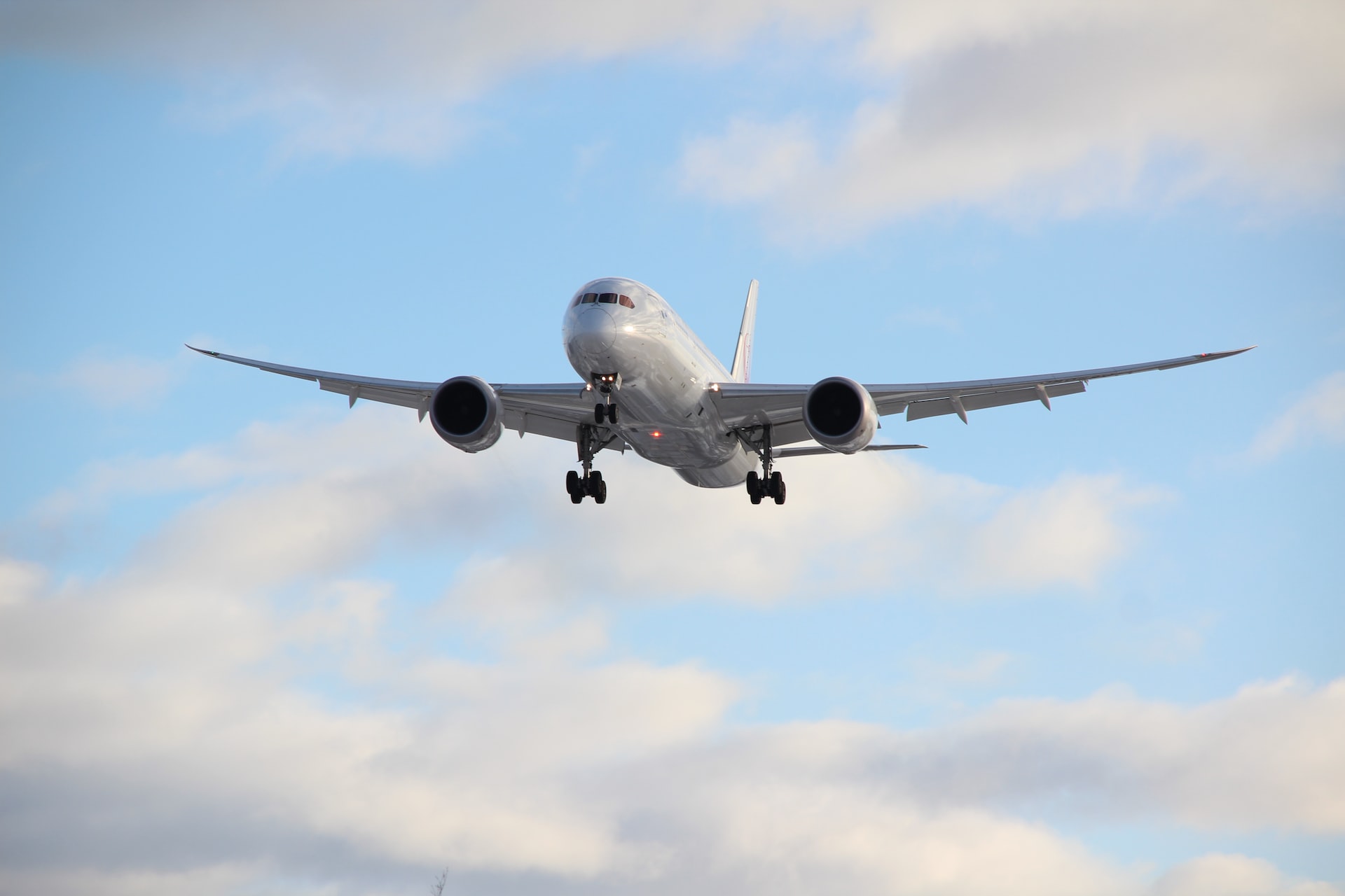 How is the Aviation Industry Trying To Promote Environmental Sustainability?